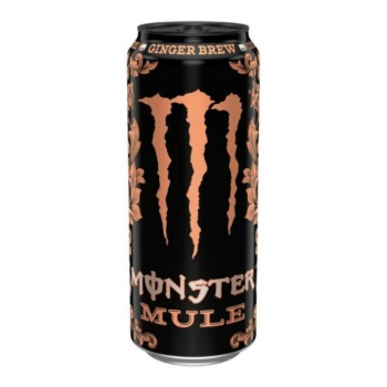  انرژی زا جنسینگ زنجبیلی مانستر - 500 میلی لیتر634068a6448ca510210